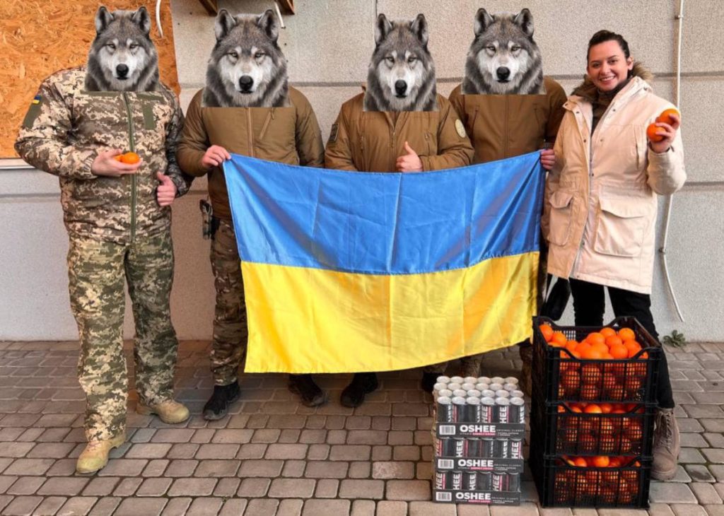 Миколаївщина отримала 20 тонн мандаринів та 20 Starlink від благодійників (ФОТО) 9