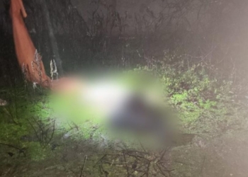 На Снігурівщині чоловік приніс додому протипіхотні міни і підірвався (ФОТО)