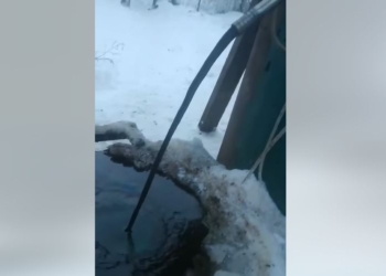 На Сумщині в сільському колодязі замість води виявили нафту (ВІДЕО)