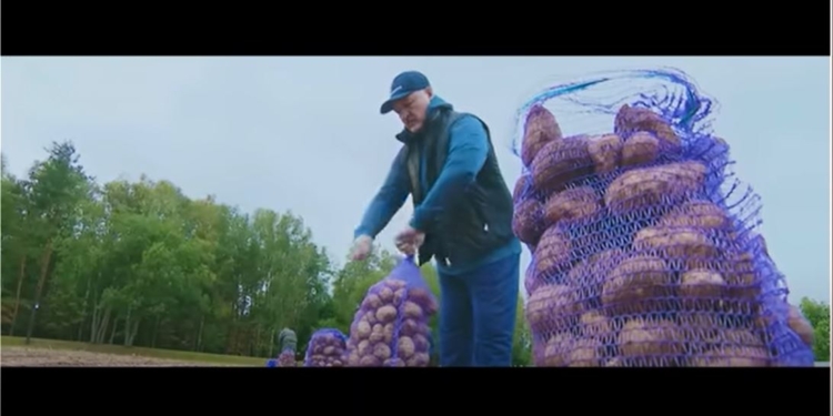 “Бульба денс”. Невістка Лукашенка складає про нього пісні, клипи на них показують перед сеансами кіно (ВІДЕО)