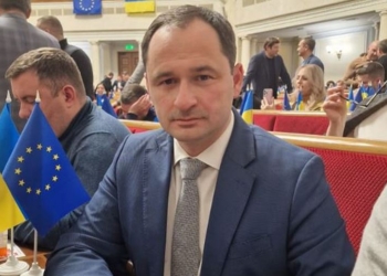 Миколаївський нардеп Максим Дирдін став постійним представником Ради в Конституційному Суді