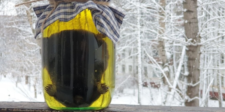 “Роспотребнадзор” рекомендував не пити кротовуху – бо в рф п’ють настоянку на кротах (ФОТО)