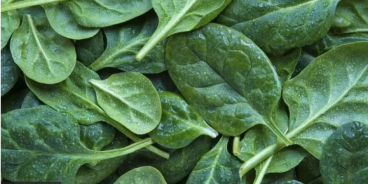 В Австралії в торгівельній мережі продавали шпинат, який викликає галюцинації