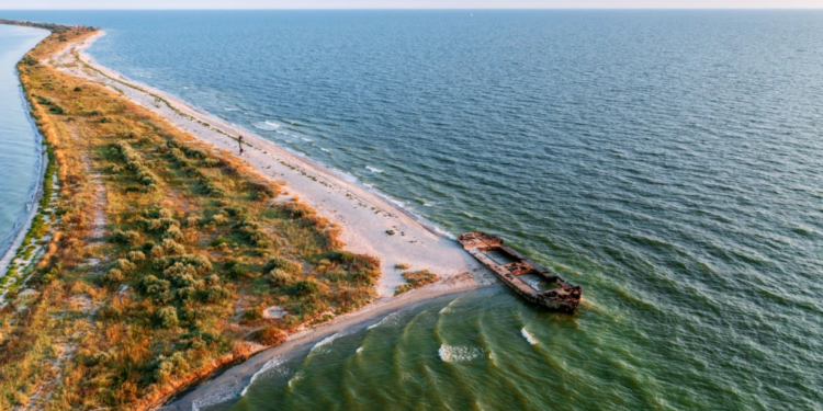 Всіх жителів Кінбурнської коси вивезли в Крим або далі, – Кім