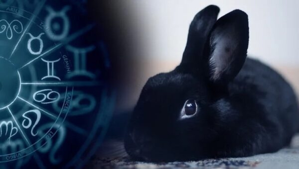 Китайський гороскоп. Що чекати у рік Чорного Водяного Кролика