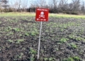 Снігурівщину розміновують піротехніки з 4 областей (ФОТО, ВІДЕО)