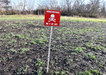 Снігурівщину розміновують піротехніки з 4 областей (ФОТО, ВІДЕО)