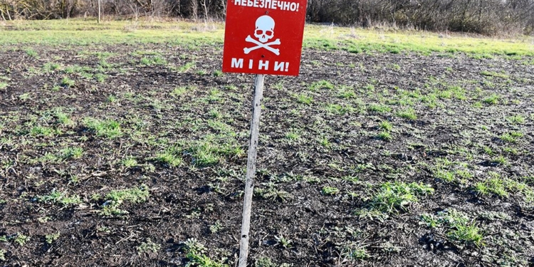 Снігурівщину розміновують піротехніки з 4 областей (ФОТО, ВІДЕО)