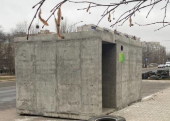 Громадська діячка Юлія Міскевич звинуватила мера Миколаєва в брехні (ФОТО)