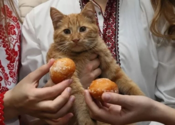 Ворожіння та забави на Андрія. Але церква закликає молитися (ФОТО)