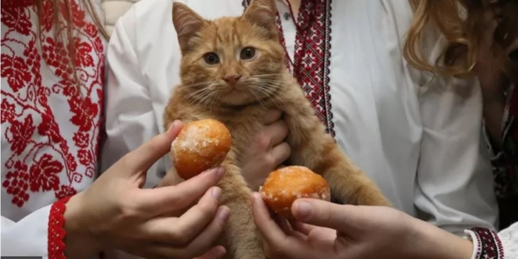 Ворожіння та забави на Андрія. Але церква закликає молитися (ФОТО)