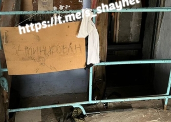 В Снігурівці на Миколаївщині діти знайшли в підвалі багатоповерхівки гранати, підривачі і ще багато чого, що було залишено окупантами (ФОТО)