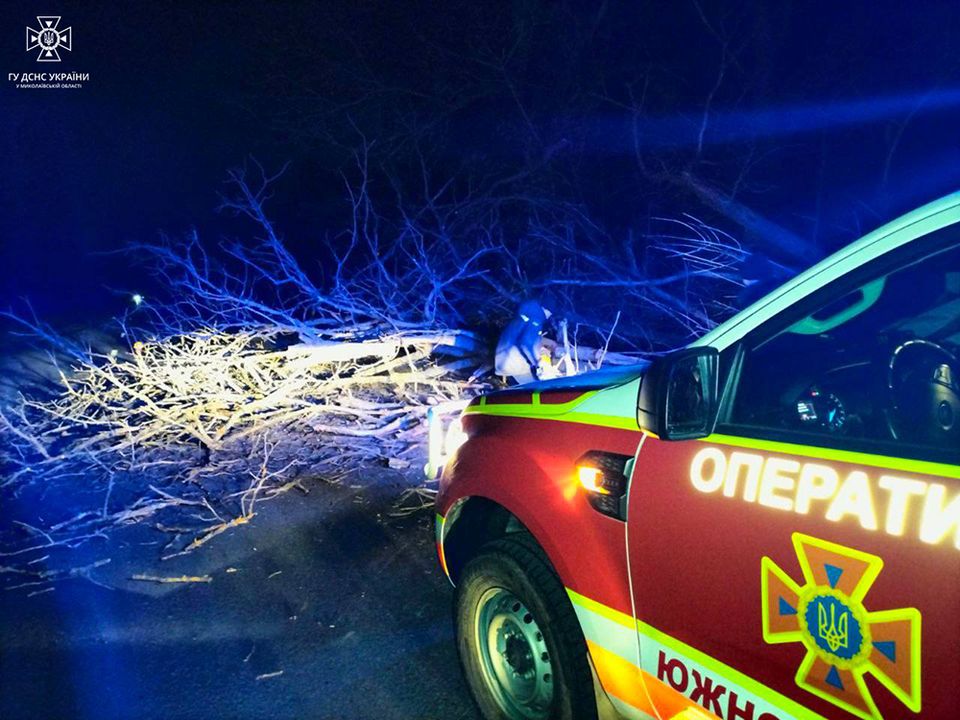 Погана погода: вночі рятувальники Миколаївщини прибирали повалене дерево з дороги та витягали з переметів автівки з дорослими та дітьми (ФОТО) 1