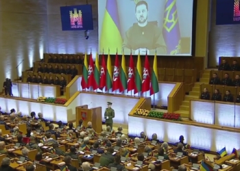 «Ви жодної хвилини не зраджували свободі. І ми постійно відчуваємо вашу підтримку» – Зеленський звернувся до політиків і народу Литви (ВІДЕО)