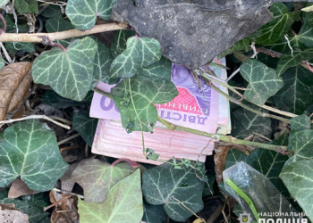 В Миколаєві двоє пограбували водія маршрутки – у Варварівці їх піймала поліція (ФОТО)