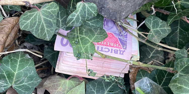 В Миколаєві двоє пограбували водія маршрутки – у Варварівці їх піймала поліція (ФОТО)