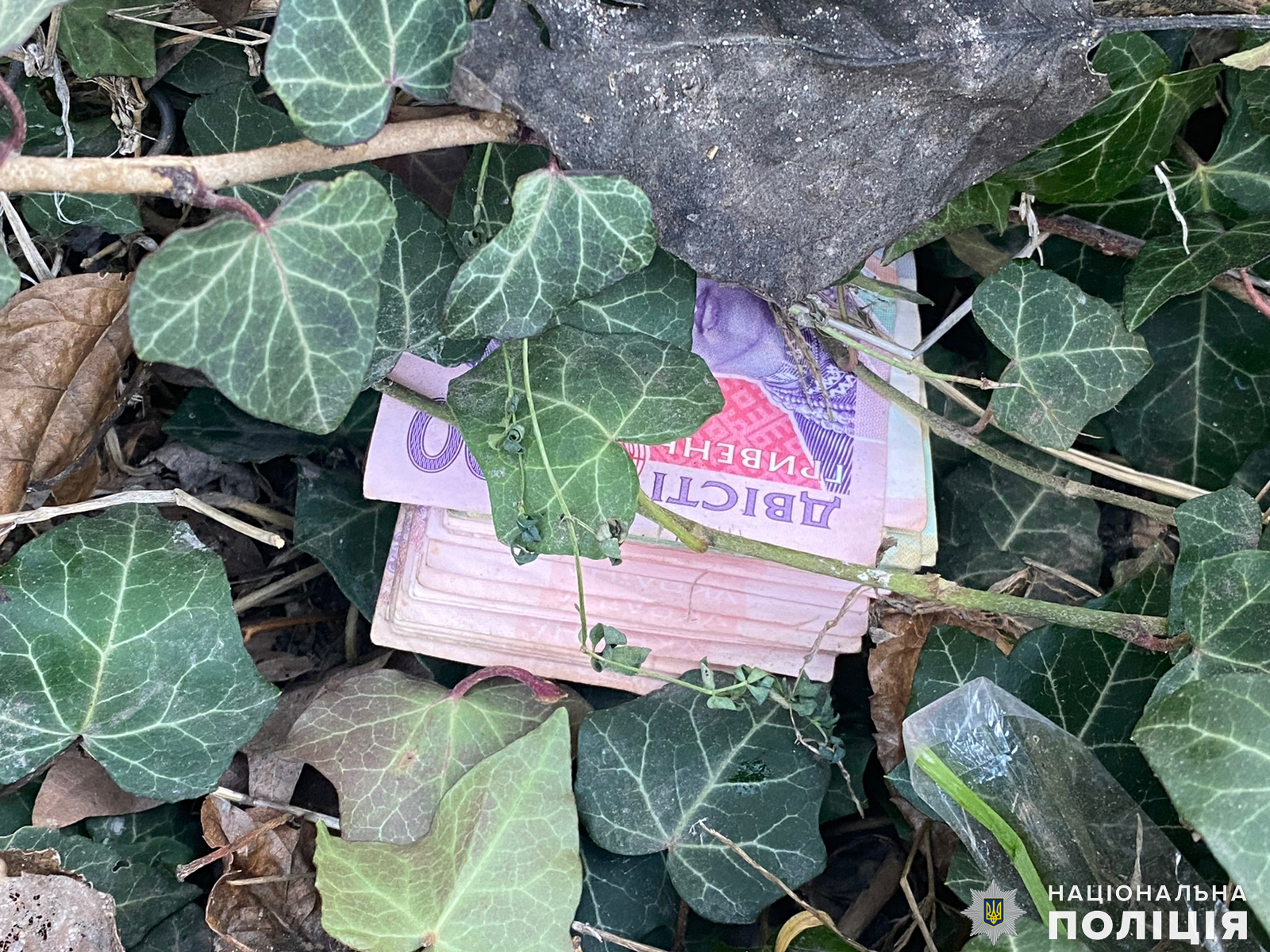 В Миколаєві двоє пограбували водія маршрутки – у Варварівці їх піймала поліція (ФОТО)