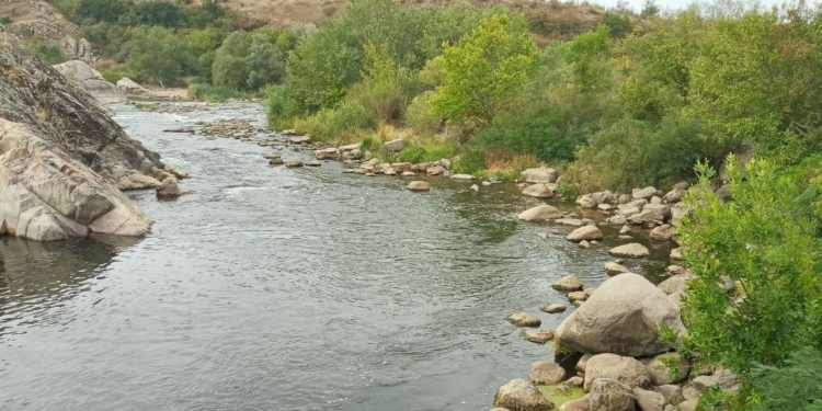 Громади Миколаївщини планують передати понад 400 га земель лісівникам – природоохоронці радіють