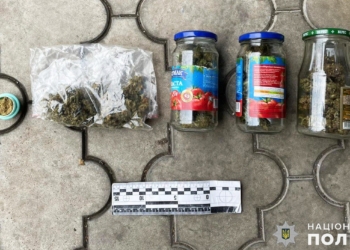 На Миколаївщині поліцейські викрили чоловіка на незаконному зберіганні артснарядів та наркотиків (ФОТО)