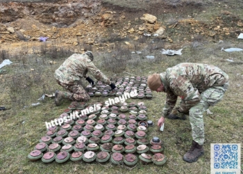 На Миколаївщині в Криничках знайшли майже 200 російських протитанкових мін (ФОТО)