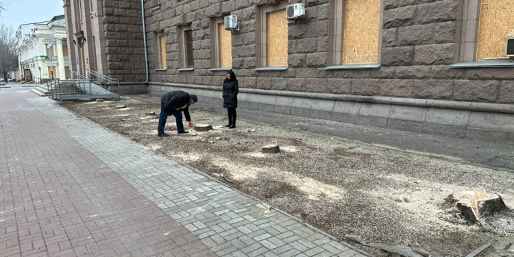 ДЕІ звернеться до прокуратури щодо спиляних в Миколаєві біля міськради ялинок (ФОТО)