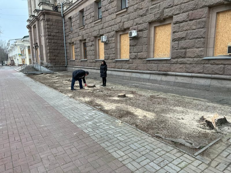 Так ялинки біля міськради в Миколаєві спиляли в рамках декомунізації? Версія одного з представників міської ради