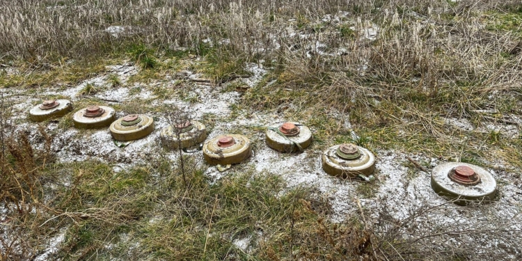 На Миколаївщині вже розмінували майже 85 га деокупованих територій. Але ще не всі – в Снігурівській громаді на мінах підірвались дві корови (ФОТО)