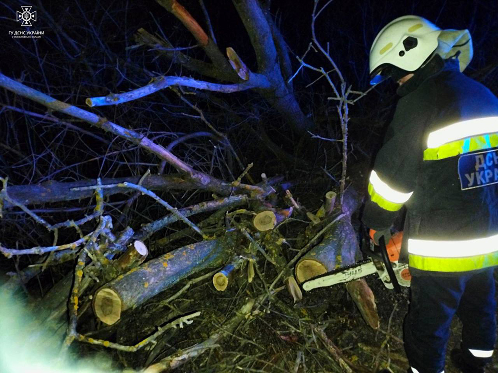 Погана погода: вночі рятувальники Миколаївщини прибирали повалене дерево з дороги та витягали з переметів автівки з дорослими та дітьми (ФОТО) 3