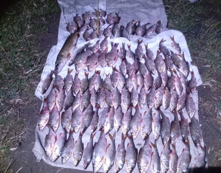 Мешканець Доманівки на Миколаївщині незаконно виловив понад 100 особин риби (ФОТО)