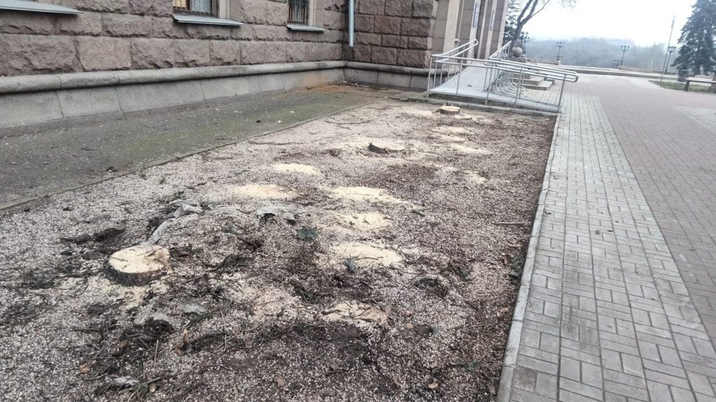 В Миколаєві перед міськрадою спиляли живі ялинки (ФОТО) 5