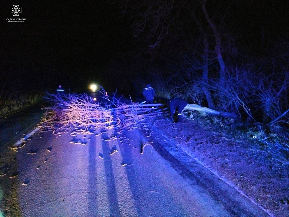 Погана погода: вночі рятувальники Миколаївщини прибирали повалене дерево з дороги та витягали з переметів автівки з дорослими та дітьми (ФОТО) 5