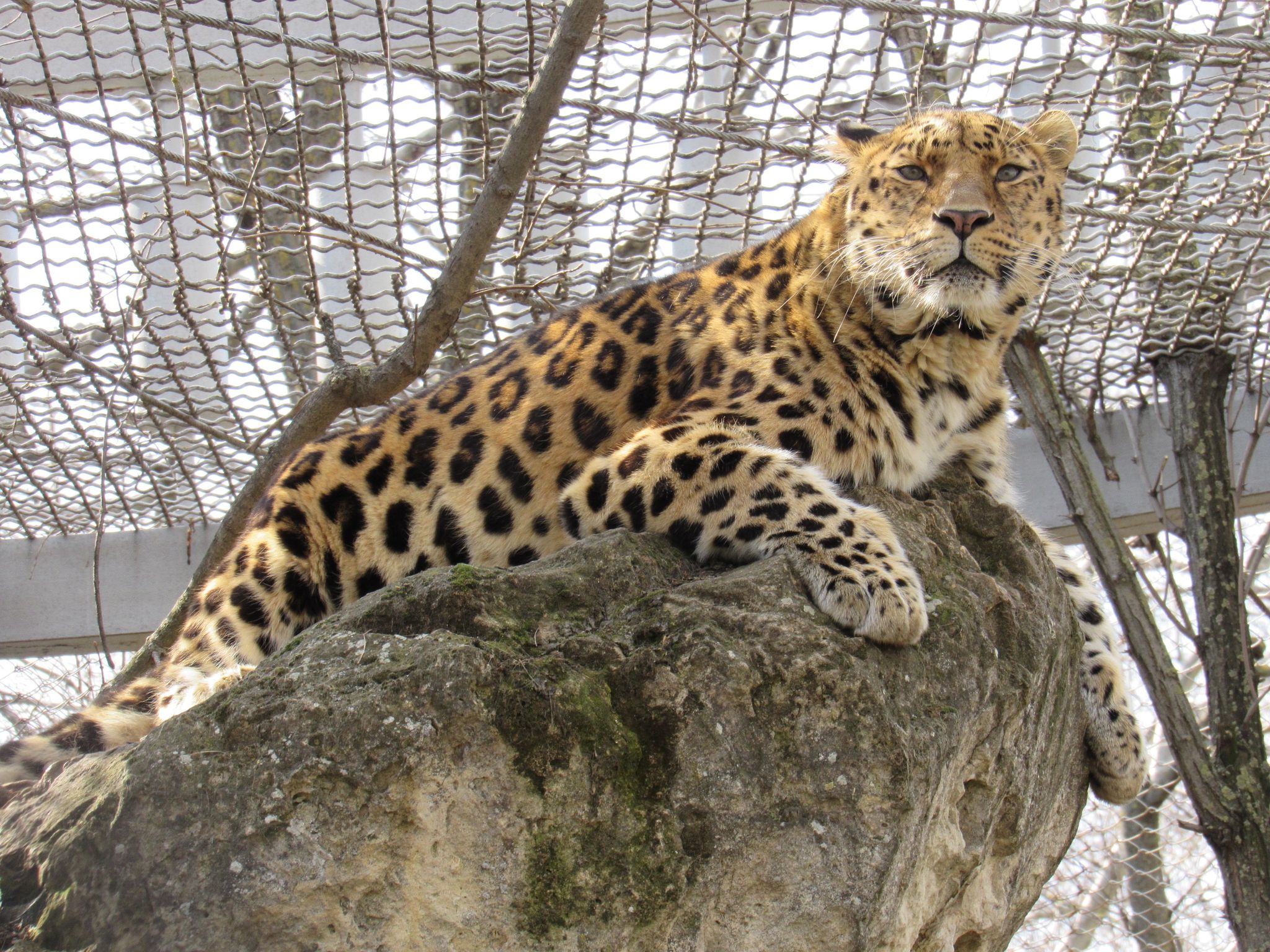Миколаївський зоопарк показав своїх січневих іменинників (ФОТО)