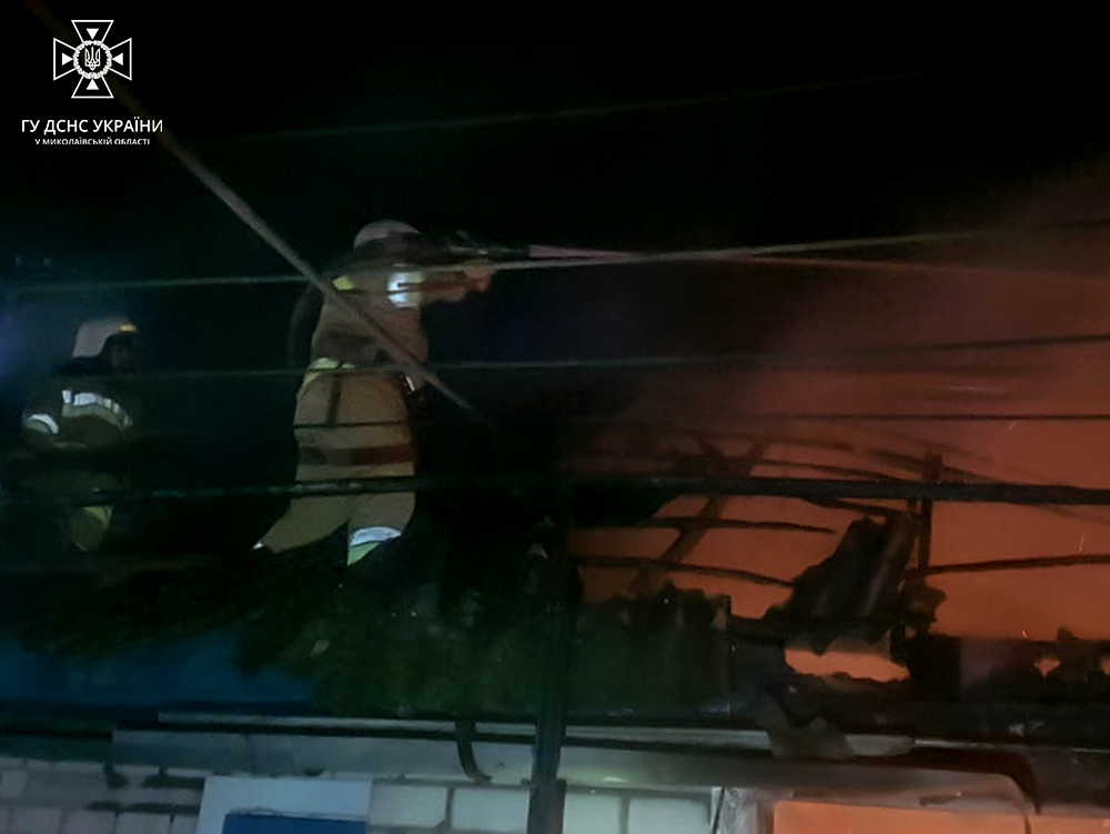 Дві пожежі в житлі і одна – транспортного засобу: що гасили рятувальники на Миколаївщині минулої доби (ФОТО) 5