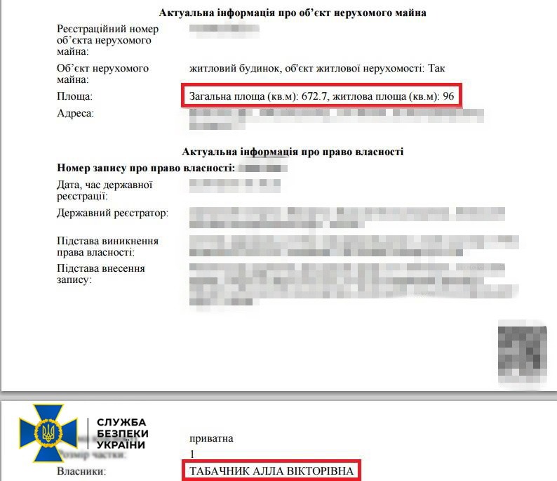 СБУ арештувала майно Табачника на понад $2 млн. (ФОТО) 7