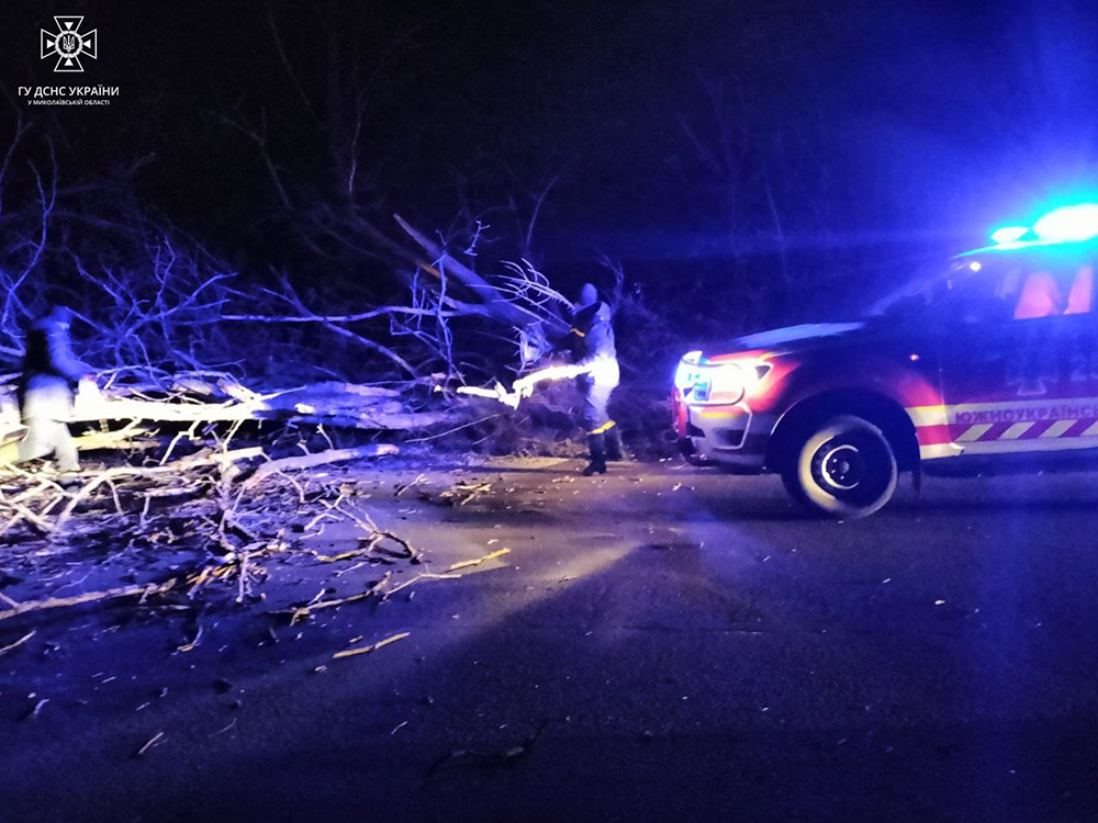 Погана погода: вночі рятувальники Миколаївщини прибирали повалене дерево з дороги та витягали з переметів автівки з дорослими та дітьми (ФОТО) 7