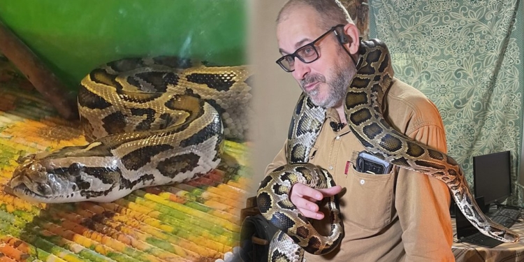 Український військовий врятував 3-метрового пітона з-під палаючого ворожого танка (ФОТО, ВІДЕО)