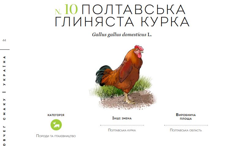 В Італії випустили атлас “Ковчег смаку в Україні” і “червону книгу” продуктів, що можуть зникнути