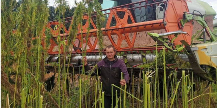 З українських конопель можна виготовляти набої для фронту та житло для тилу (ФОТО)