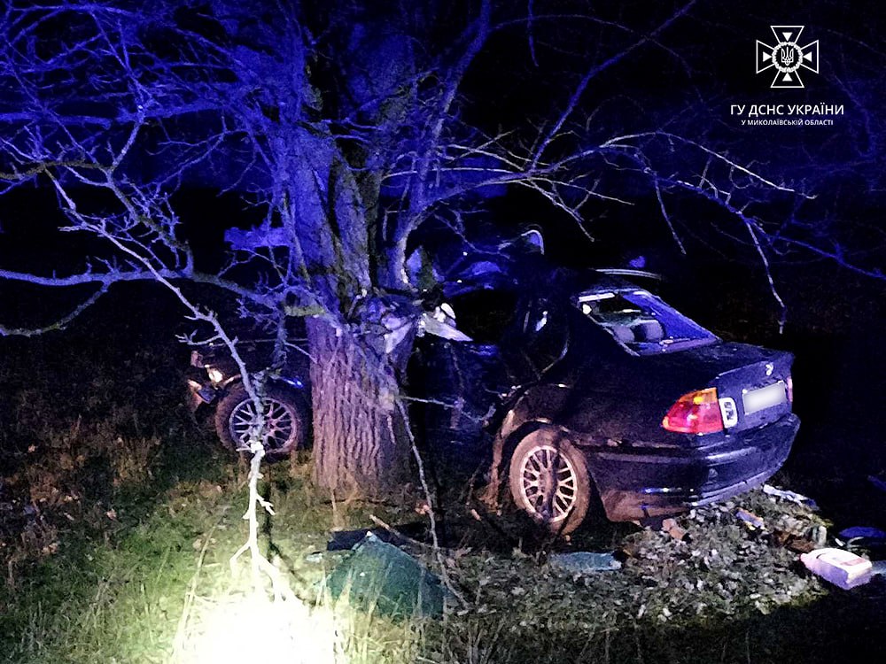 На Миколаївщині BMW врізався в дерево, водій загинув на місці (ФОТО) 1