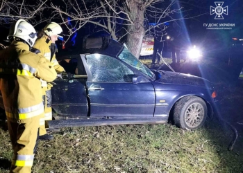 На Миколаївщині BMW врізався в дерево, водій загинув на місці (ФОТО)