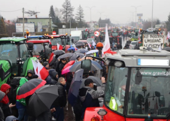 Польські фермери вийшли на протести проти українського зерна (ВІДЕО)