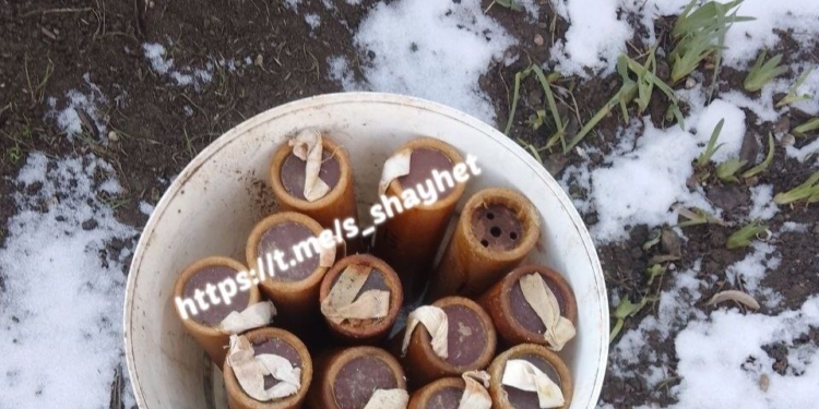 На Миколаївщині знов знайшли «подарунки» після окупантів – набої та димові шашки (ФОТО)