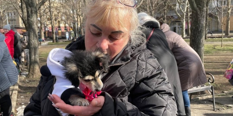 В Каштановому сквері Миколаєва знов шукали хазяїв для безпритульних песиків – третину «хвостиків» прилаштували (ФОТО)