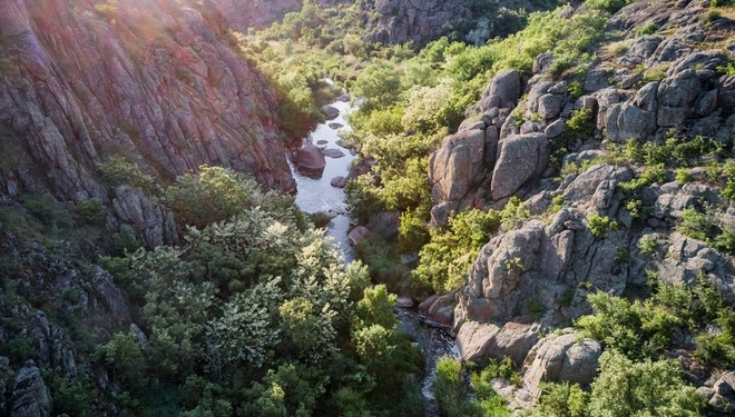 На Миколаївщині через суд вимагають повернути державі 14 га землі НПП «Бузький Гард», які Держгеокадастр передав у приватну власність