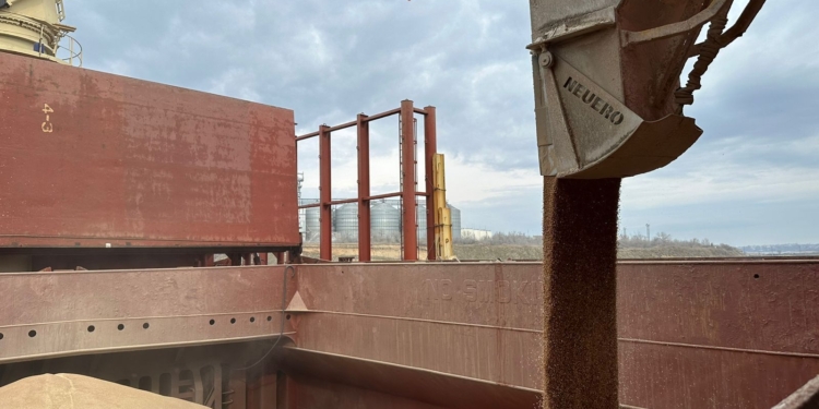 Grain from Ukraine: перші амбасадори – знавці Африканського континенту – будуть допомагати масштабувати проект, – Зеленський