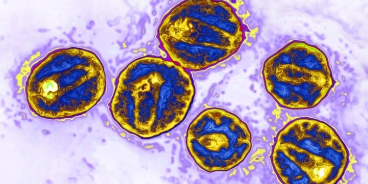 Є підтверджений п’ятий випадок в світі вилікування від ВІЛ-інфекції