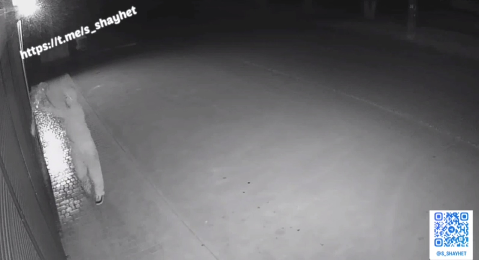 Поліцейські Миколаївщини затримали двох мешканців сусідньої області, які на замовлення за $500 підпалили майно мешканки Первомайська (ВІДЕО)