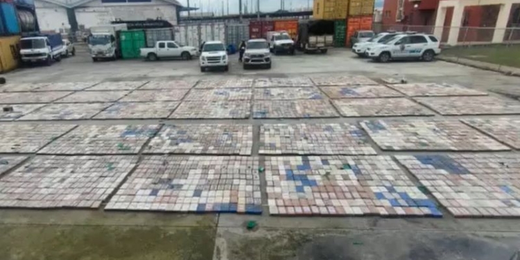 В Еквадорі знайшли тонни кокаїну в бананах, які відправляли до Бельгії