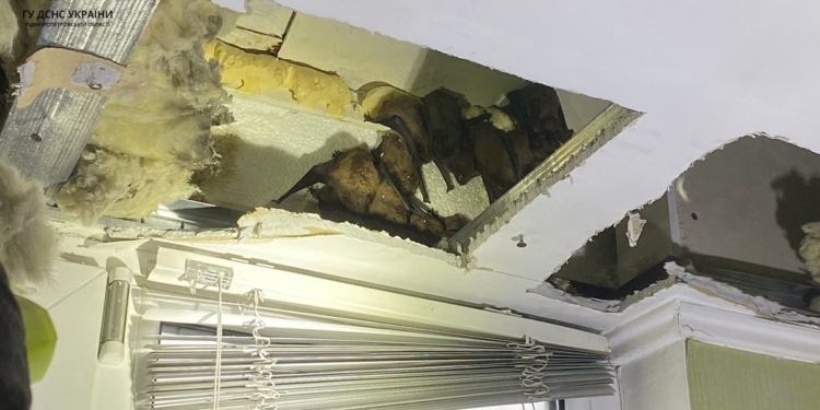 І так буває. У Дніпрі рятувальники вилучили з балкону квартири 140 кажанів (ФОТО)