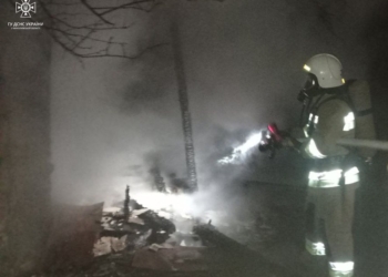 За добу рятувальники Миколаївщини двічі тушили пожежі в житлі (ФОТО)